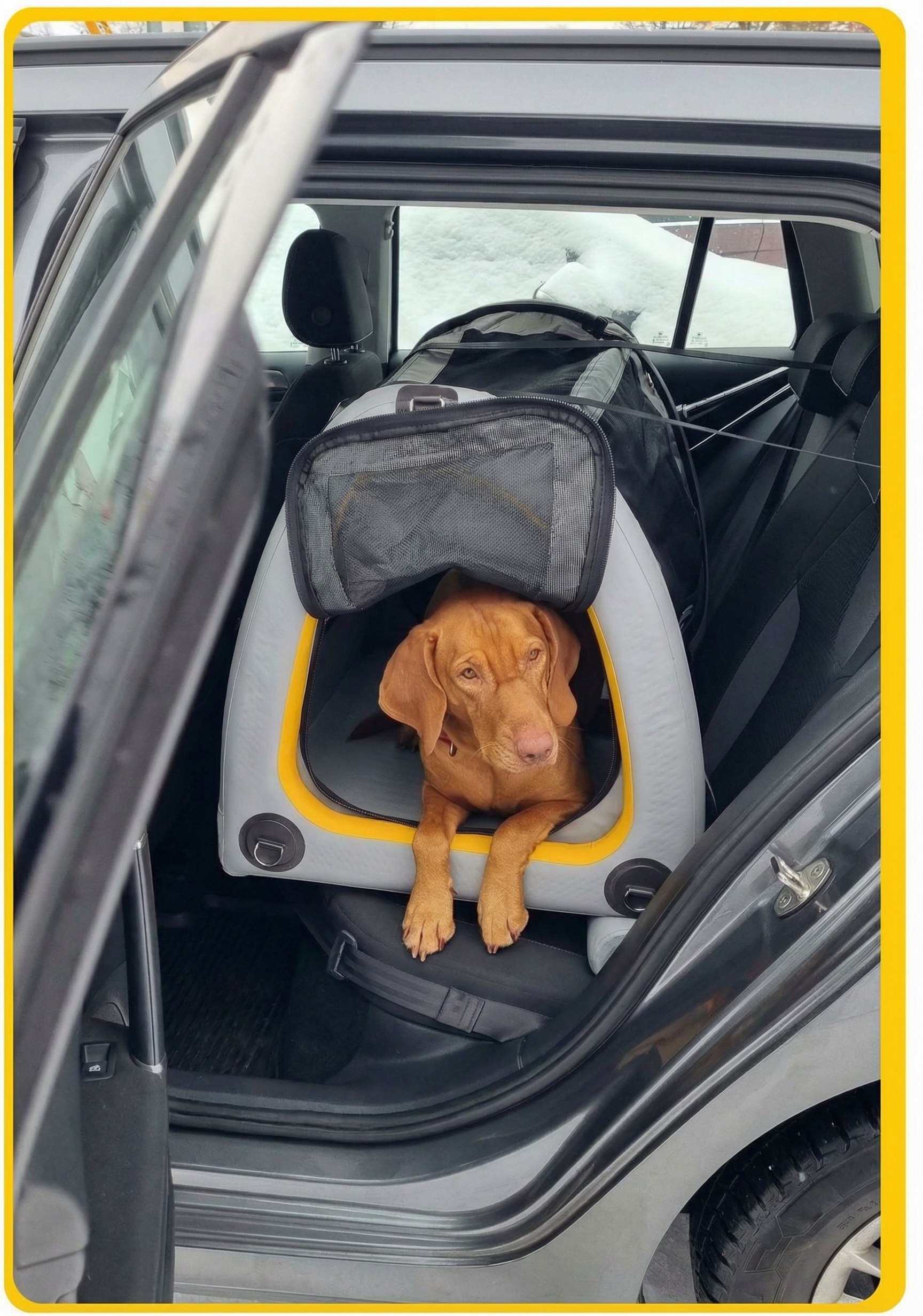 1768378359-3cfbb9a8-0cba-41ef-819f-fb388de9a266